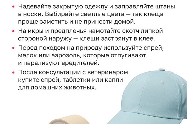 Как избавиться от клещей