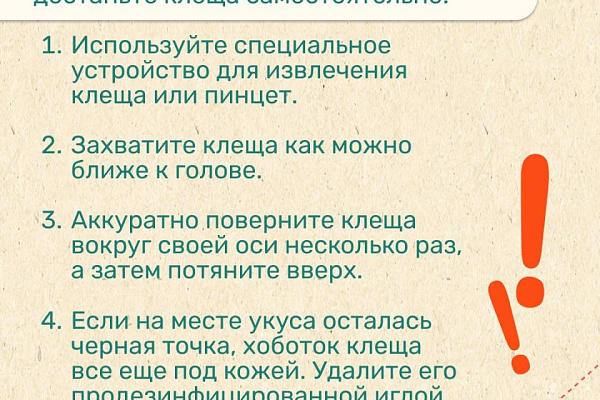 Сезон клещей: как обезопасить себя в путешествии