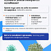 Здоровый иммунитет: мифы о защите организма
